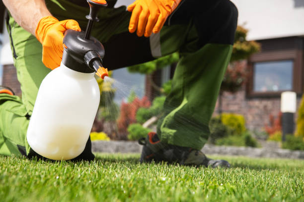 Best Pest Removal Services  in Meyersdale, PA