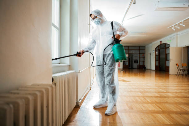 Best Emergency Pest Control  in Meyersdale, PA